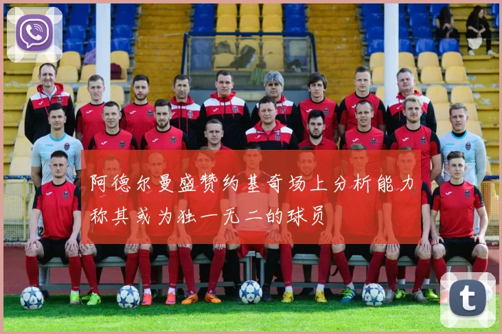 阿德尔曼盛赞约基奇场上分析能力称其或为独一无二的球员