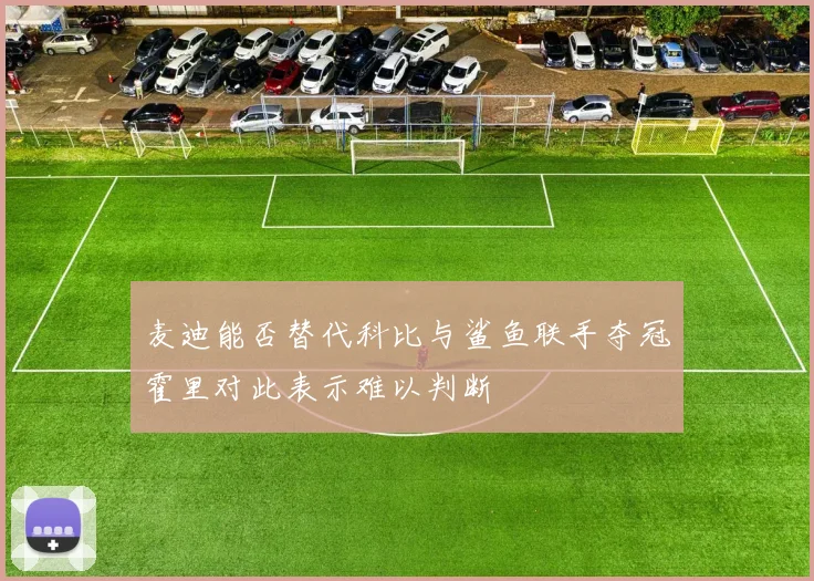 麦迪能否替代科比与鲨鱼联手夺冠霍里对此表示难以判断