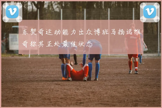 东契奇运动能力出众博班马扬诺维奇称其正处最佳状态