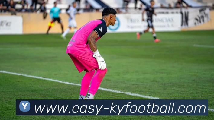 开云足球服务体系